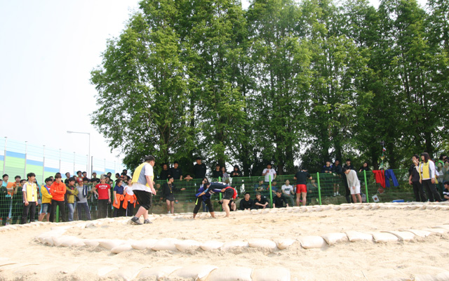 IMG_0145-1.jpg